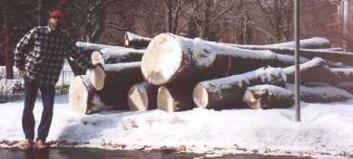 Logs 2000-2001