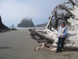 Driftwood, Olympic Nat'l Park